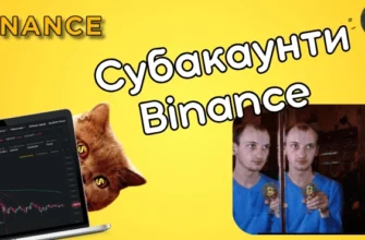 субакаунти бінанс